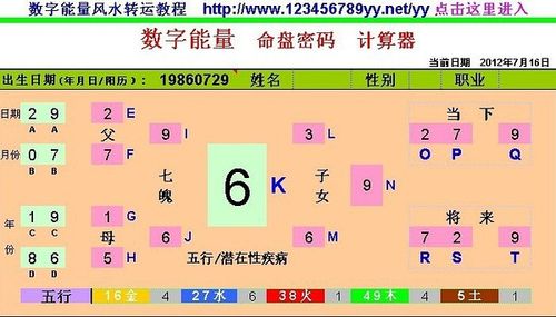 个人生命密码之命盘图 命盘图解说