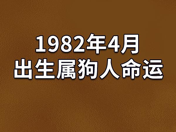 1982年4月出生属狗人命运