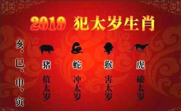今年2023年猪年本命年运程_江西杨公风水网