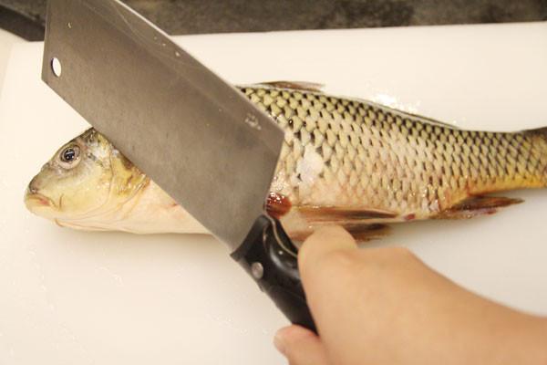 2, 去鳞:(1)用刀背斜向鱼头开始刮鱼鳞,注意,是斜向鱼头,否则小刀