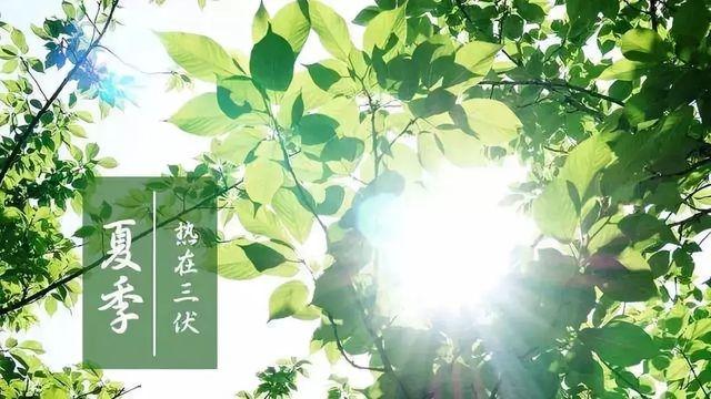 今日入伏 | 历尽尘埃三伏热,方知风露九秋凉