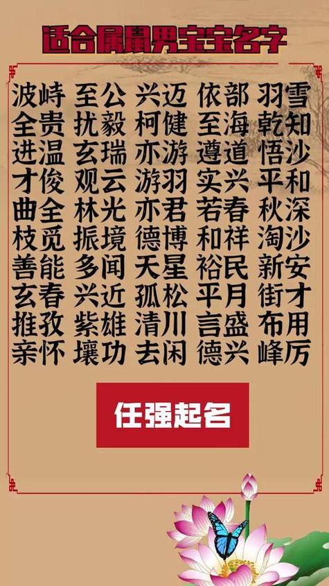 宪字辈取名男孩小知识(保字辈起名男孩)