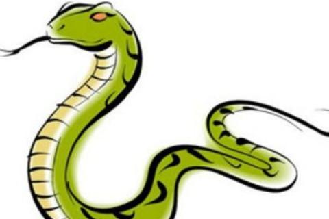 2023年生肖蛇的全年运势 属蛇人今年的运势和命运