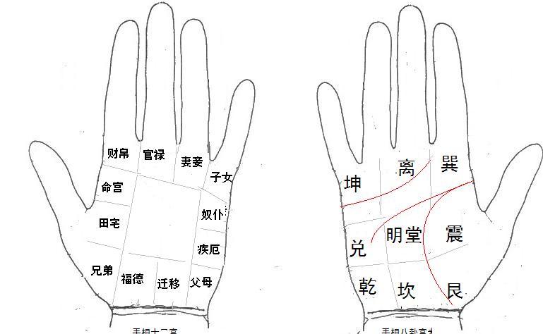 看手相算命图解 男人看手相生命线算命_ 乾坤网(原易灵算命网)手