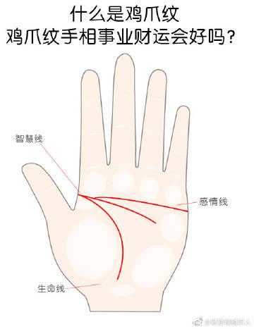 在事业上,鸡爪纹的人可谓天生就抓了一副烂牌.